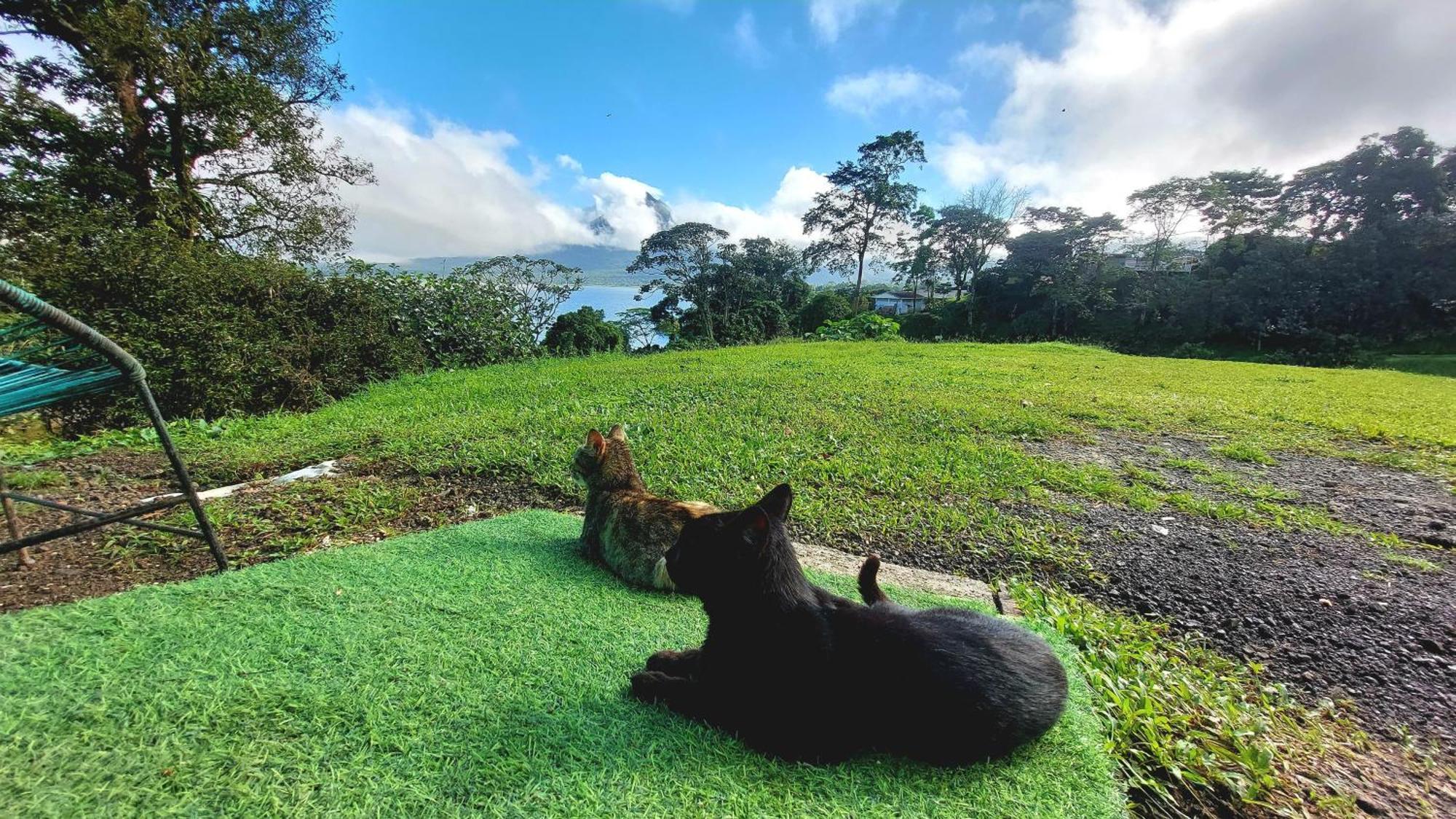 Rustico Villa Arenal La Fortuna 외부 사진